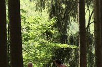 P1564216 3