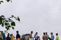 P1564498