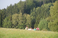 P1565768
